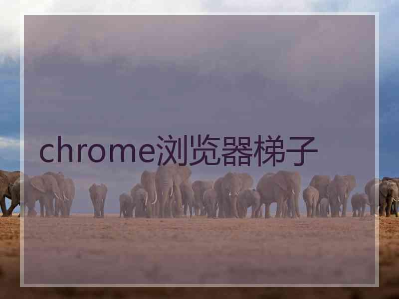 chrome浏览器梯子