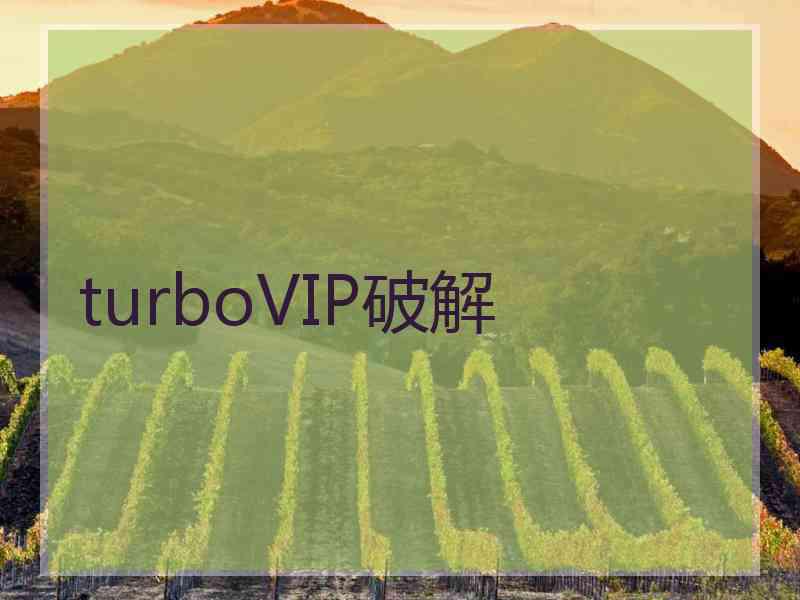 turboVIP破解