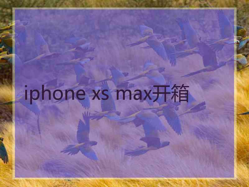 iphone xs max开箱