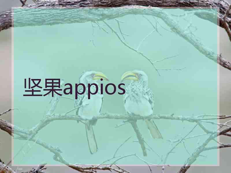 坚果appios