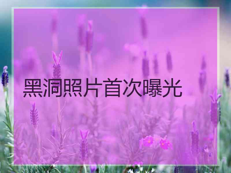 黑洞照片首次曝光