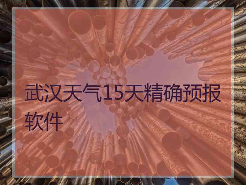 武汉天气15天精确预报软件