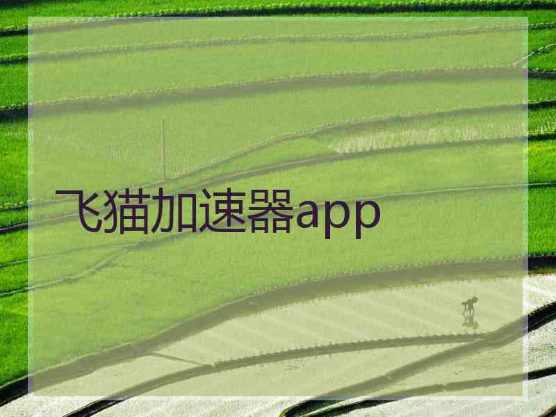 飞猫加速器app