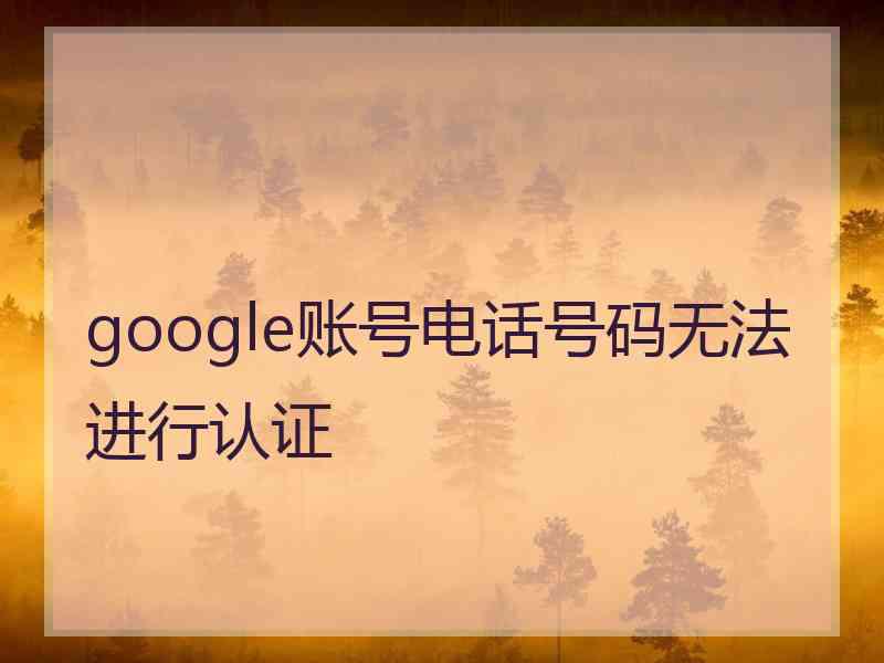 google账号电话号码无法进行认证