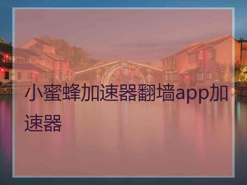 小蜜蜂加速器翻墙app加速器