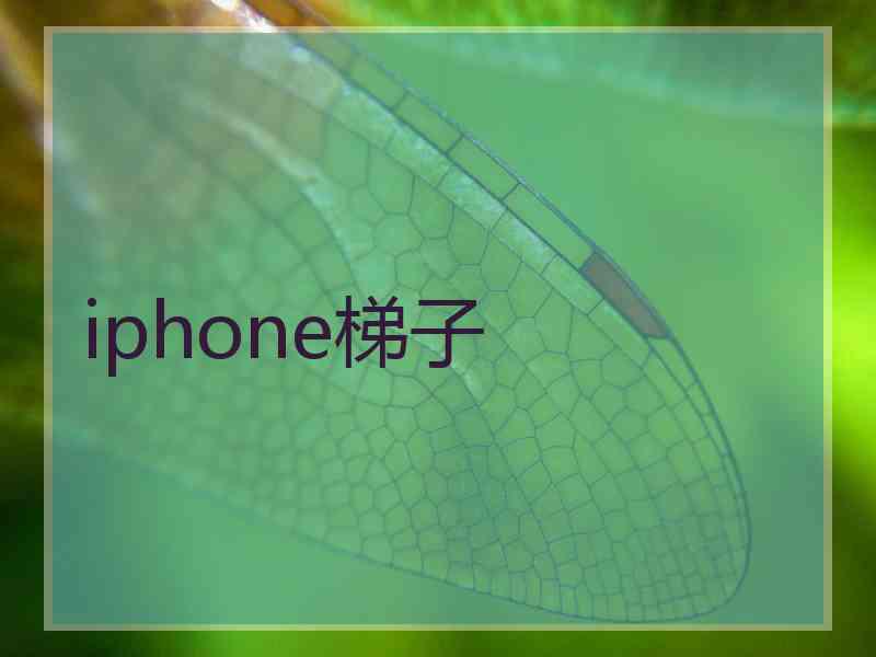 iphone梯子