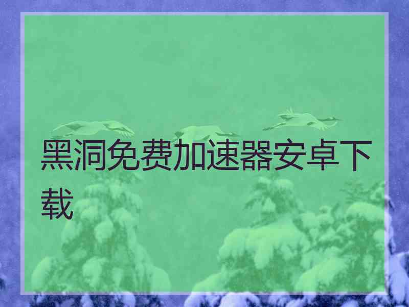 黑洞免费加速器安卓下载