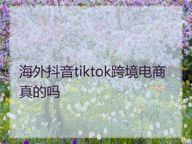 海外抖音tiktok跨境电商真的吗