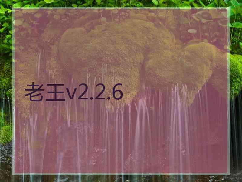 老王v2.2.6