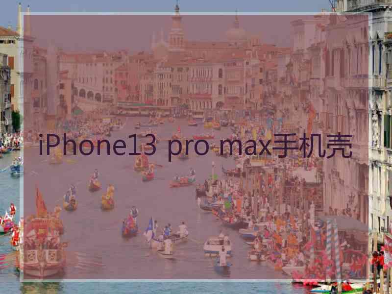 iPhone13 pro max手机壳