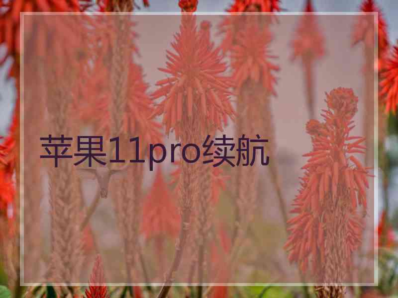 苹果11pro续航