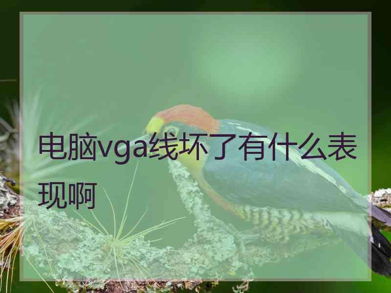 电脑vga线坏了有什么表现啊