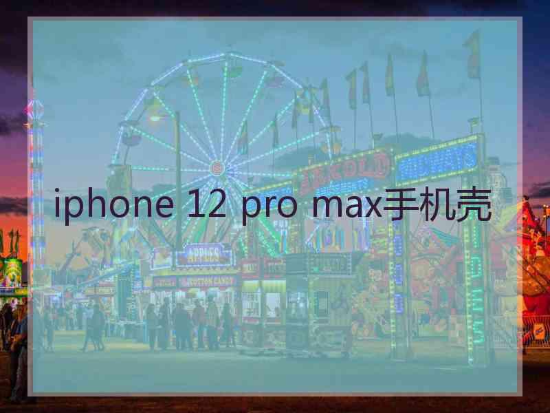 iphone 12 pro max手机壳