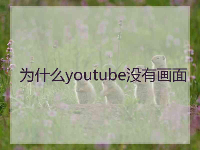 为什么youtube没有画面