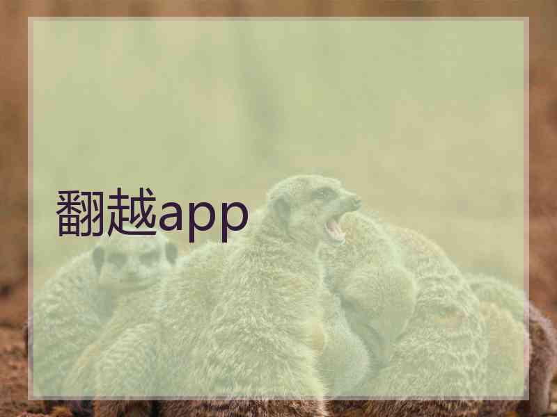 翻越app