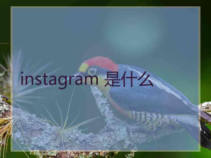 instagram 是什么