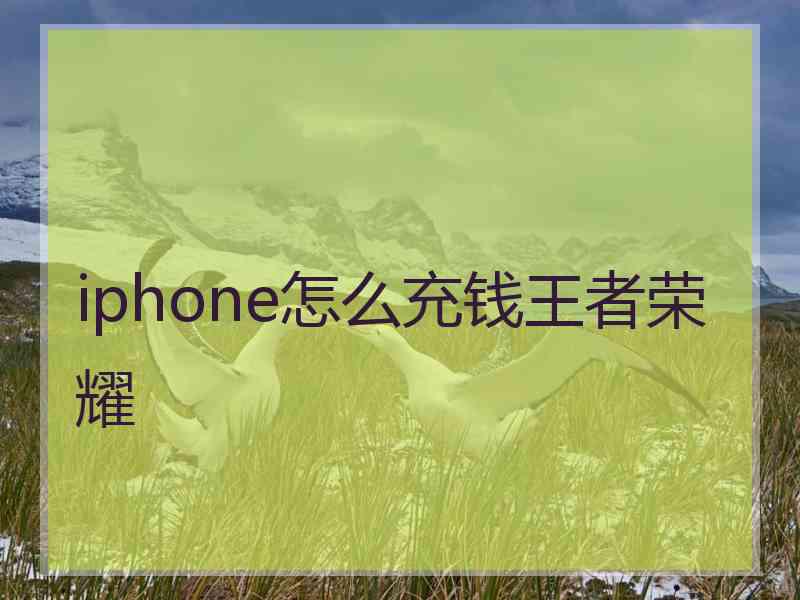 iphone怎么充钱王者荣耀