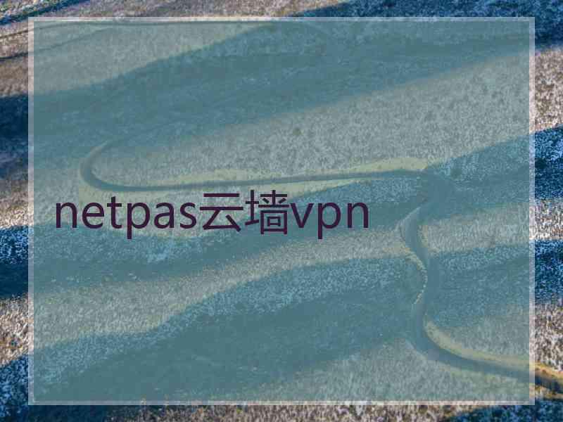 netpas云墙vpn