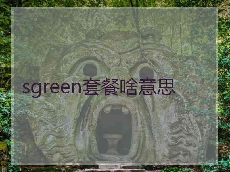 sgreen套餐啥意思