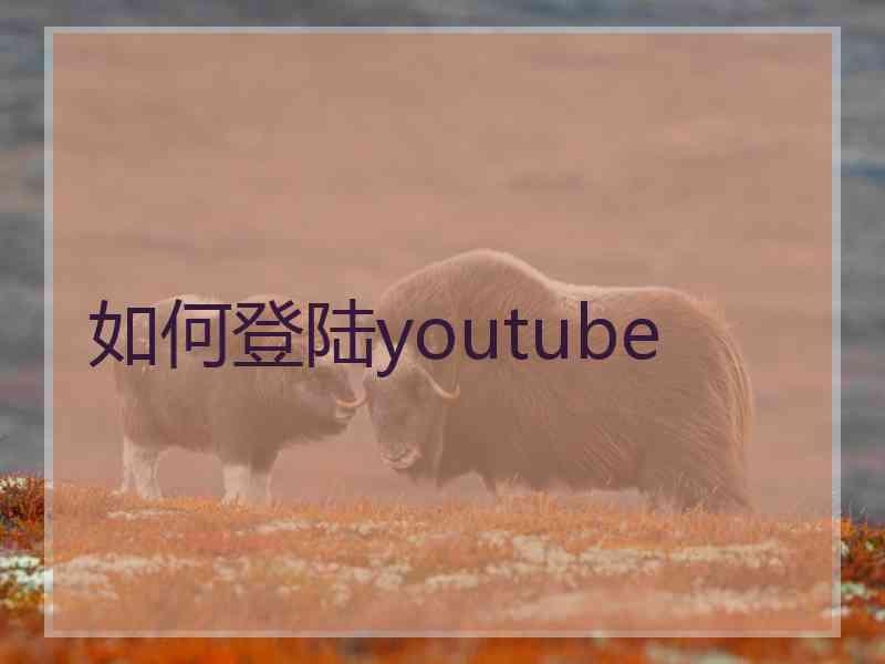 如何登陆youtube