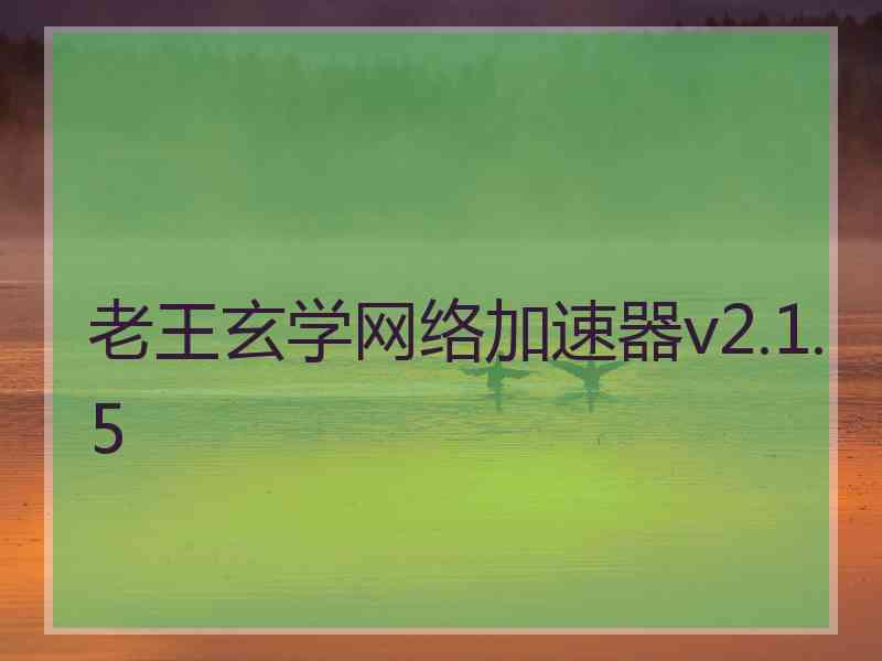 老王玄学网络加速器v2.1.5