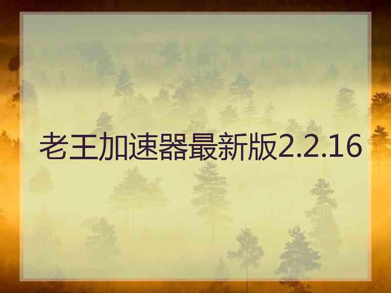 老王加速器最新版2.2.16