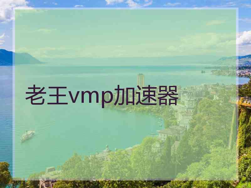 老王vmp加速器