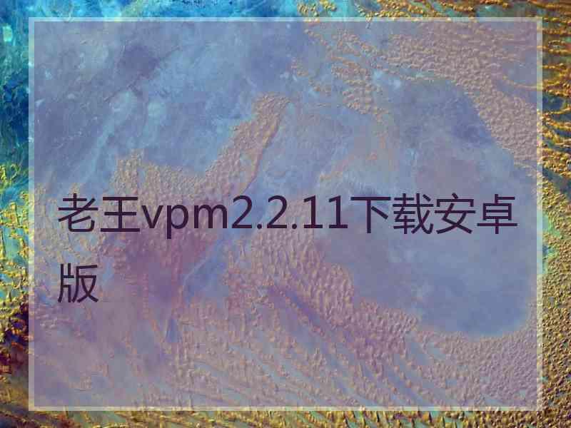 老王vpm2.2.11下载安卓版