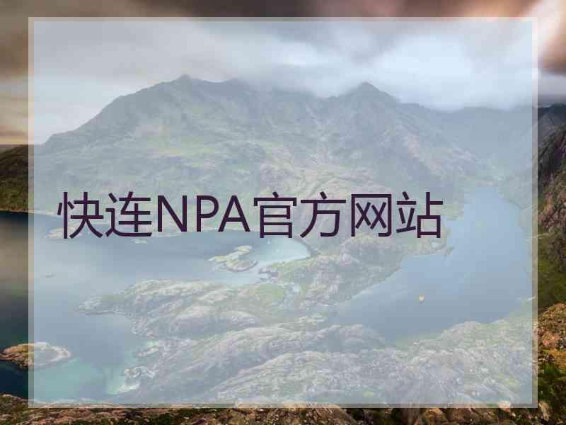 快连NPA官方网站