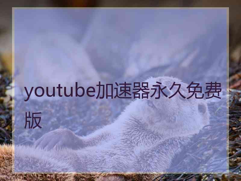 youtube加速器永久免费版