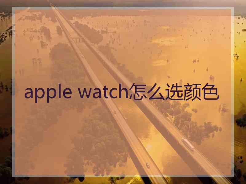 apple watch怎么选颜色