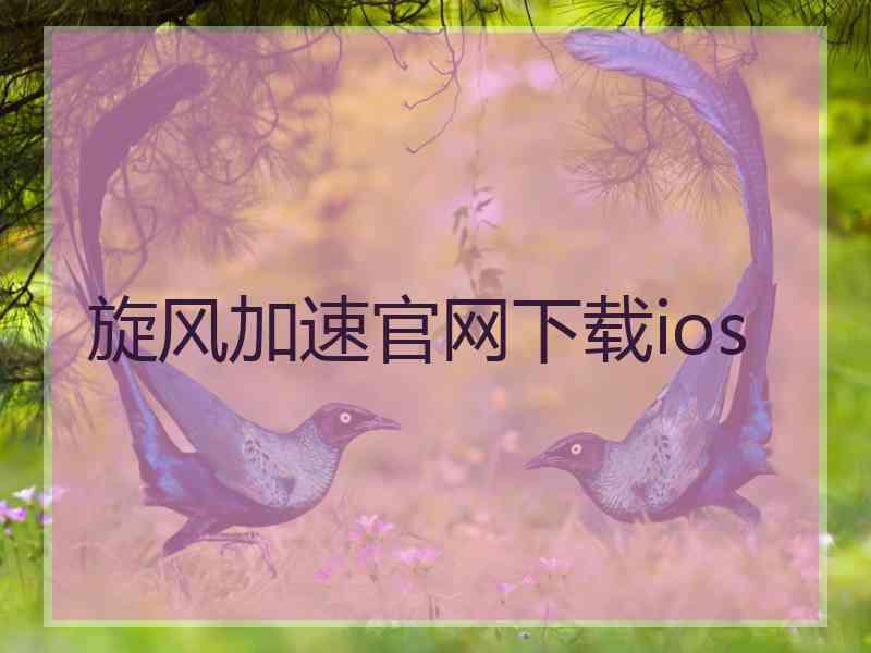 旋风加速官网下载ios