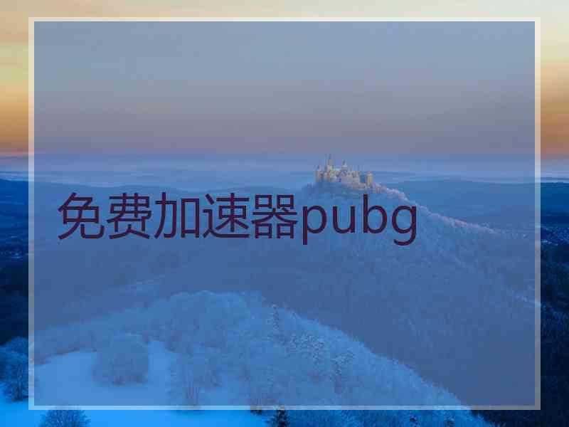 免费加速器pubg