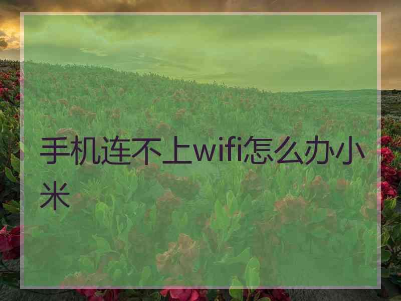 手机连不上wifi怎么办小米