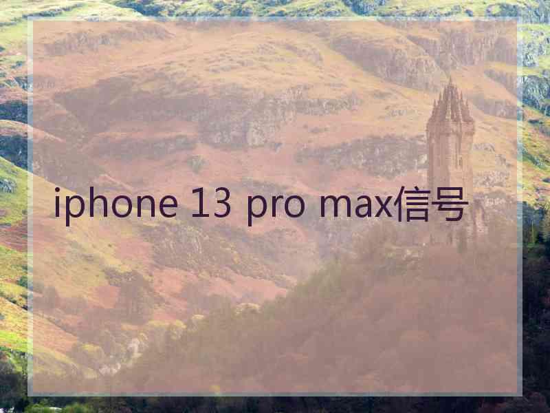 iphone 13 pro max信号