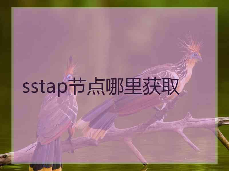 sstap节点哪里获取