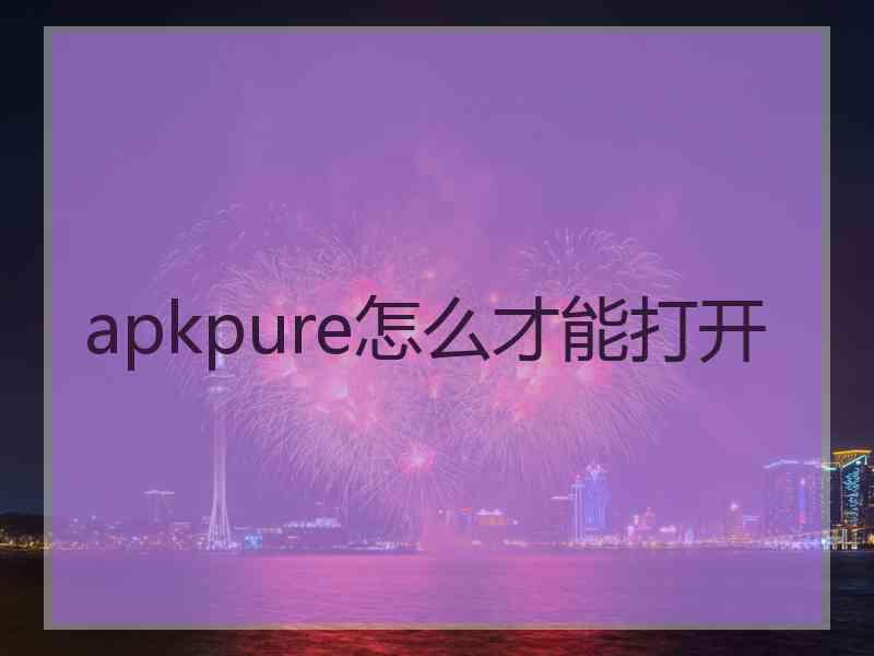 apkpure怎么才能打开