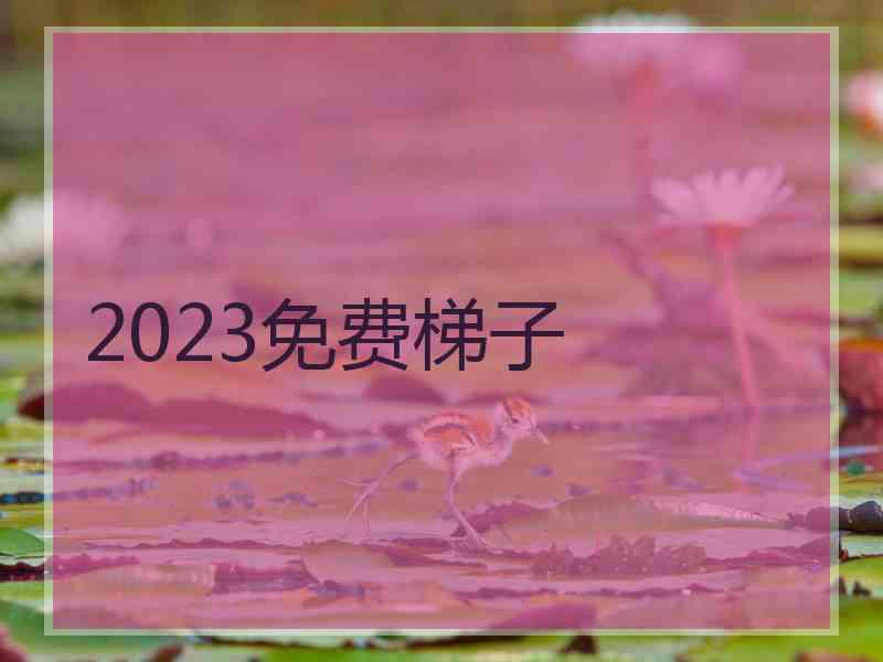 2023免费梯子