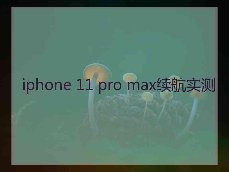 iphone 11 pro max续航实测