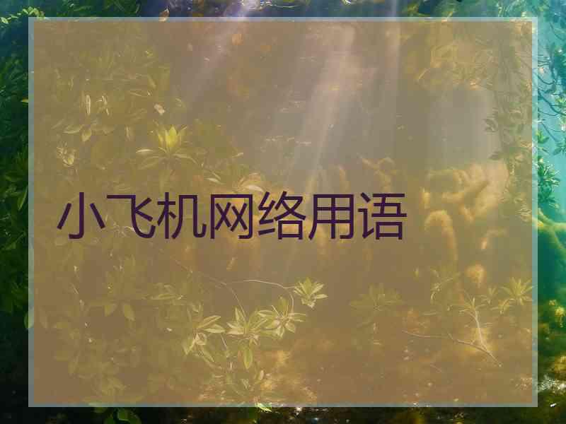 小飞机网络用语