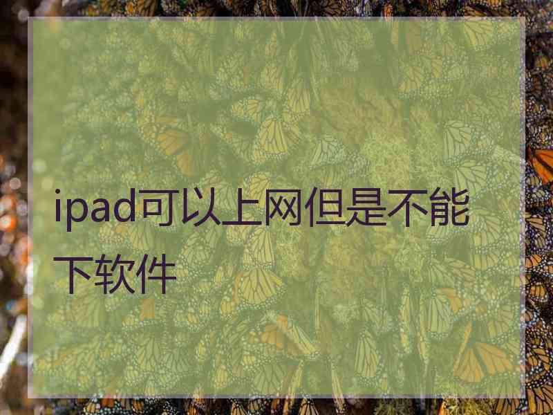 ipad可以上网但是不能下软件