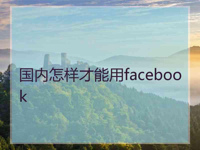 国内怎样才能用facebook