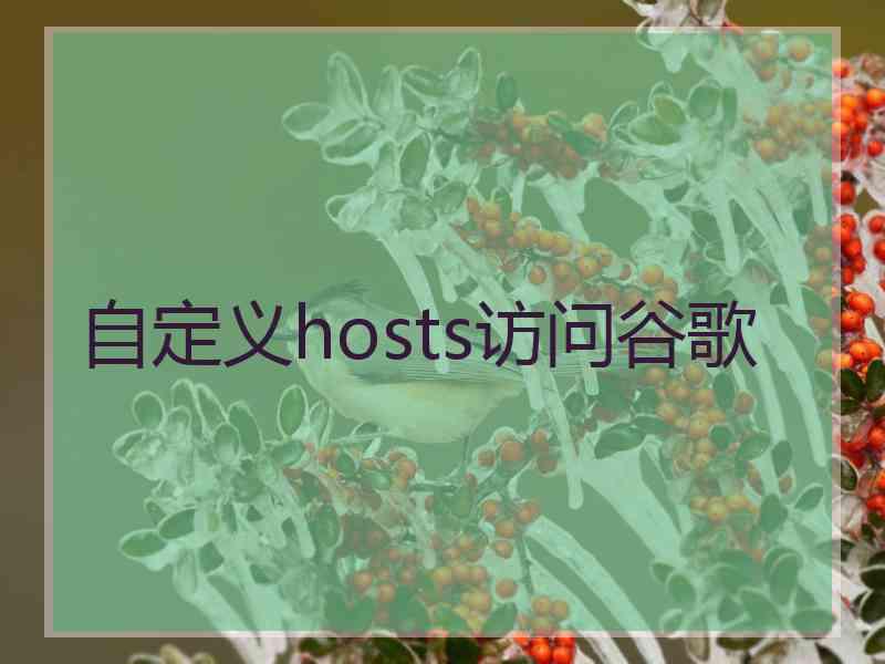 自定义hosts访问谷歌