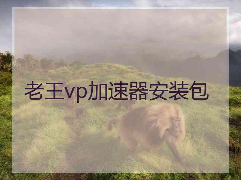 老王vp加速器安装包