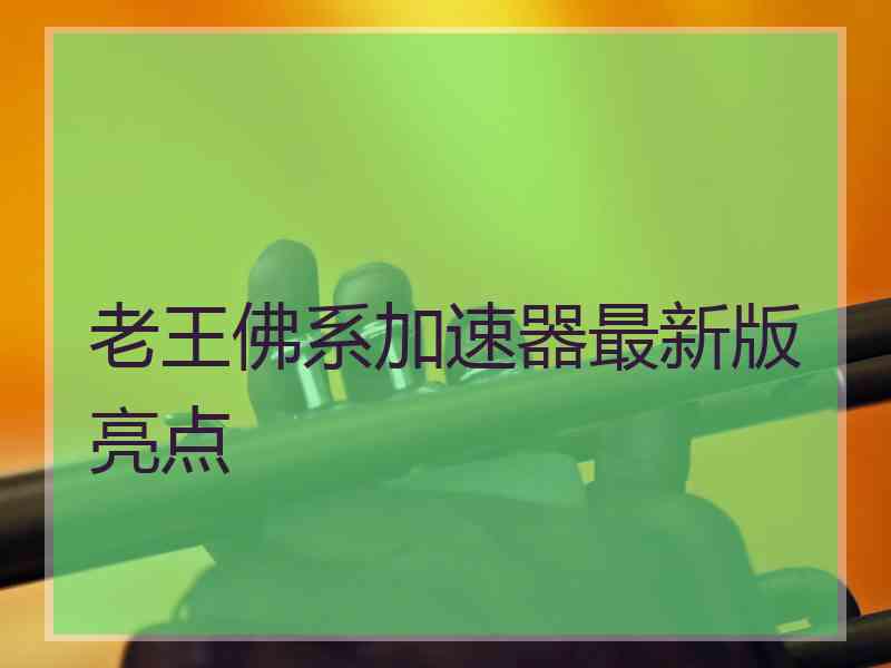 老王佛系加速器最新版亮点