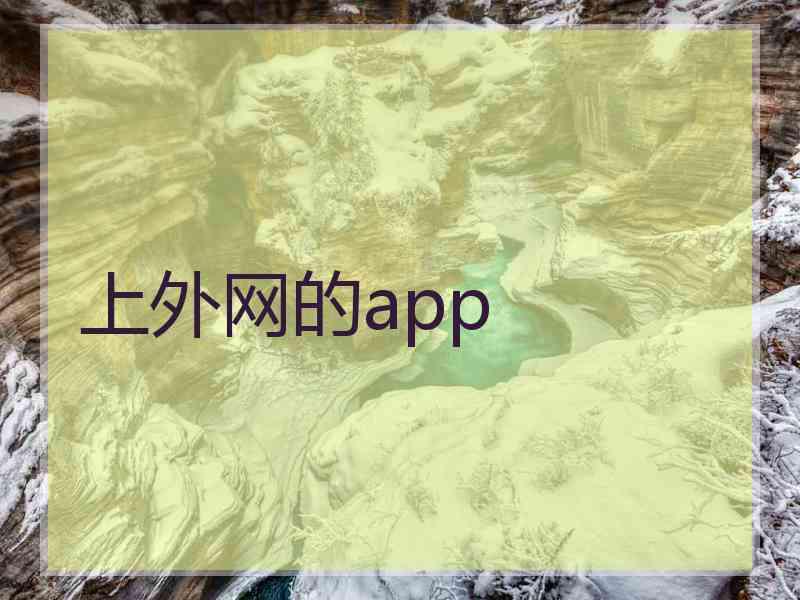 上外网的app