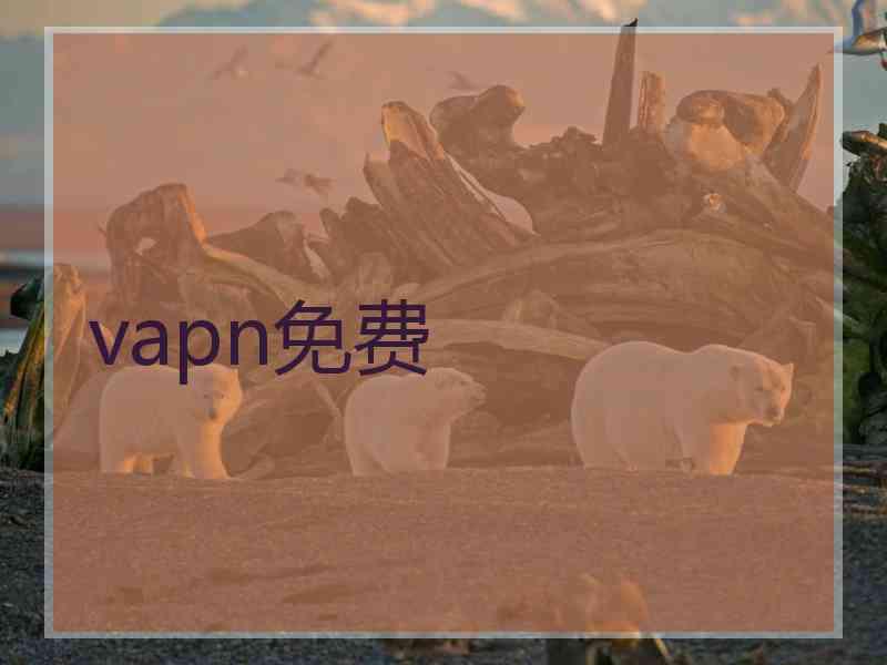 vapn免费