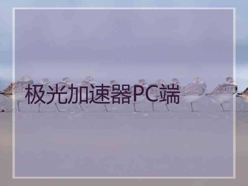 极光加速器PC端