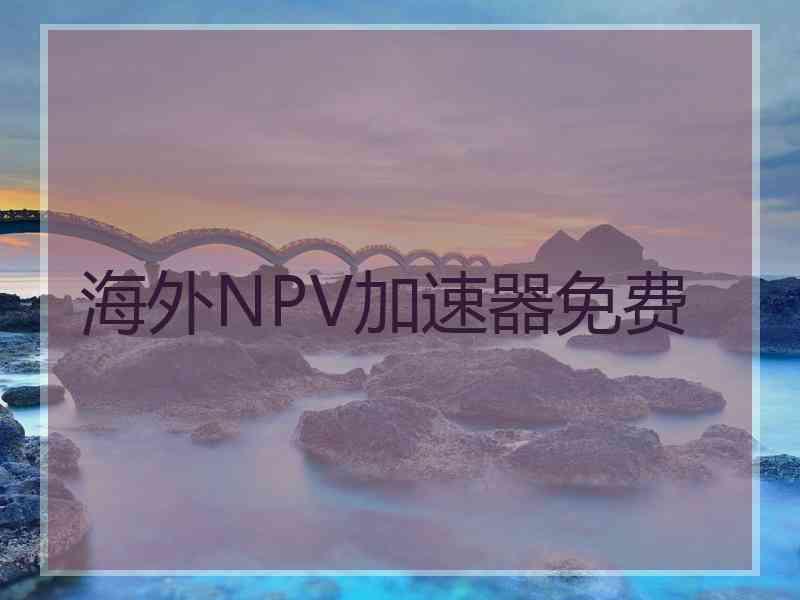 海外NPV加速器免费