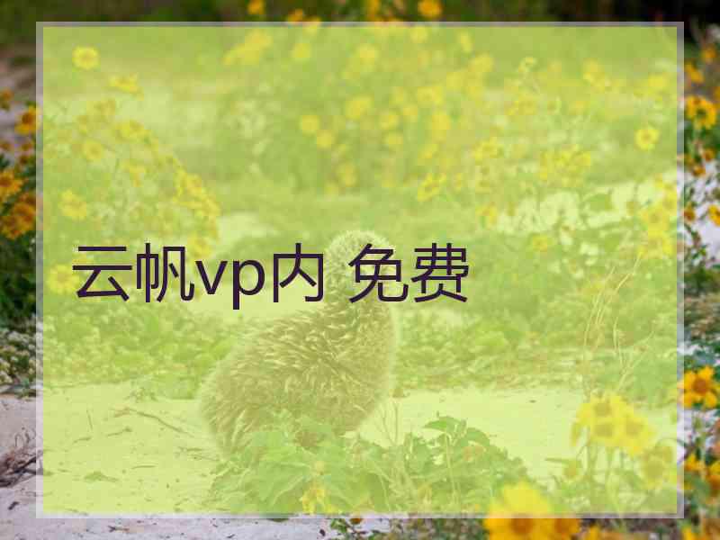 云帆vp内 免费